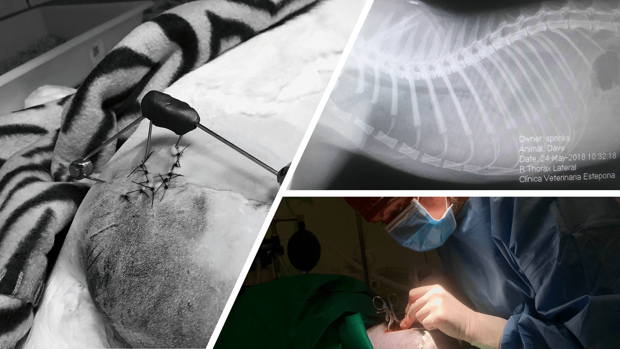 Image Title My Image